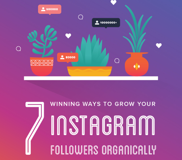 7 Winning Ways to Grow Your Instagram Following [Infographic]